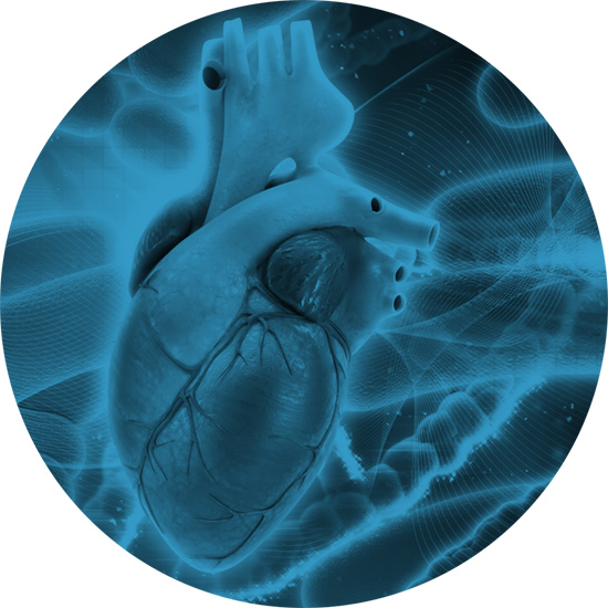 Patologie Cardiache e Terapie con Anestetici Locali (TAL)