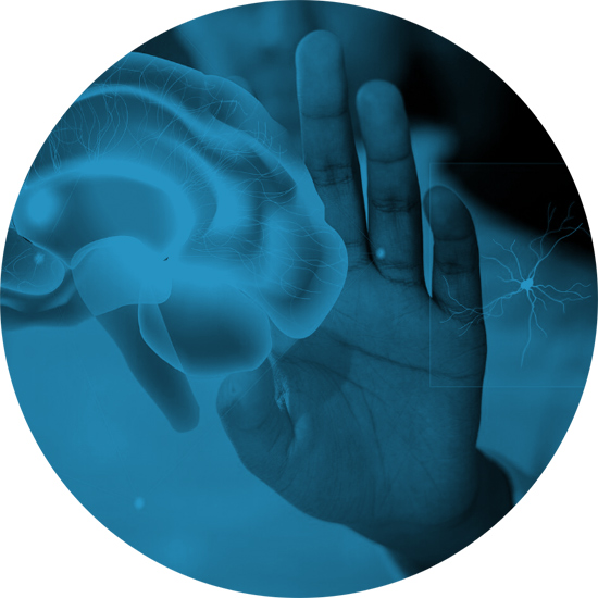 Considerazioni e ipotesi sul “Campo di Disturbo” secondo Huneke