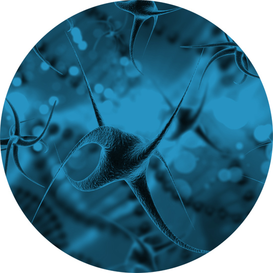 I motivi di una lunga eclissi