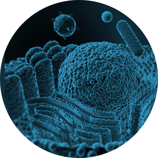Il trivio fatale: infiammazione/invecchiamento/cancro. Effetti comprovati ed effetti potenziali degli Anestetici Locali