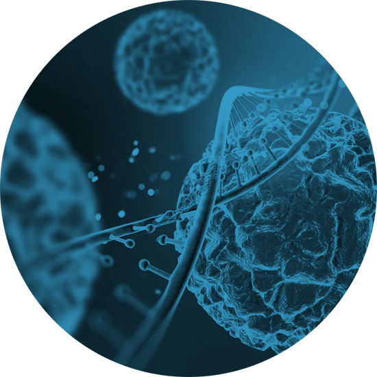 Interazioni tra organismo e ambiente e tra distretti dell’organismo. Le basi fisiopatologiche delle Terapie con Anestetici Locali