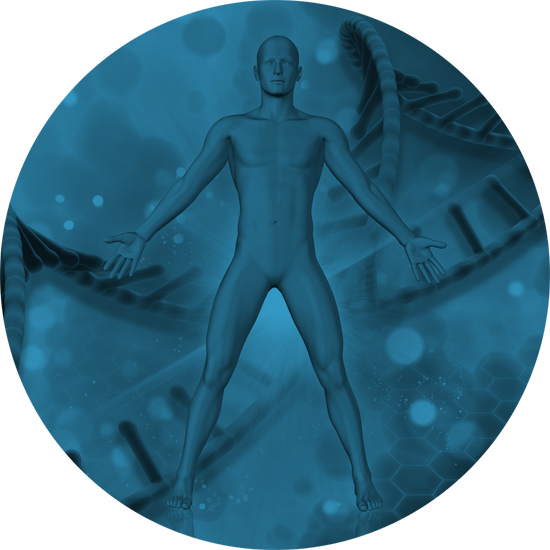 Sistema Nervoso Vegetativo, Omeostasi ed Evoluzione delle Specie: percorsi obbligati e scivolosi tra scienza e pseudoscienza